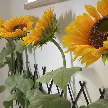 A Casa Da Xa * Almagreira (Santa Maria)