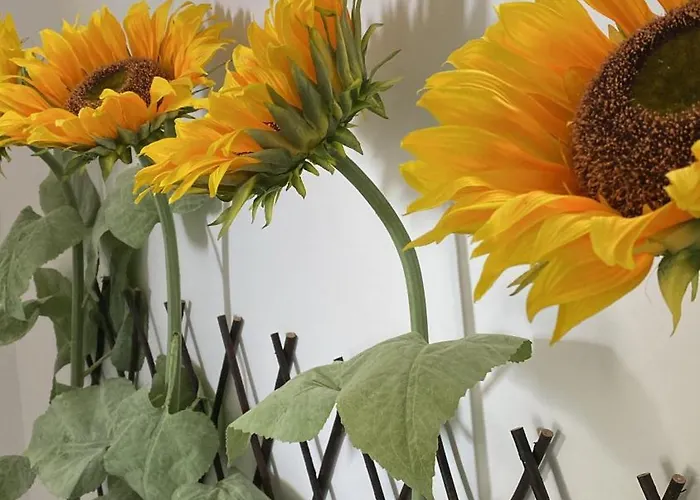 A Casa Da Xa * Almagreira (Santa Maria)